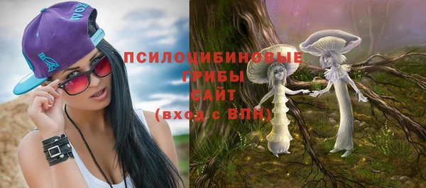 apvp Армянск