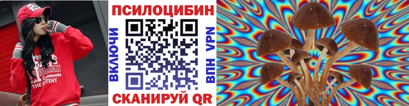 дарнет шоп  Шадринск  Галлюциногенные грибы Cubensis 